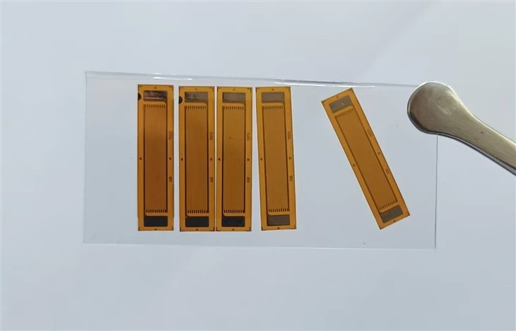Linear Strain Gauges BF350 AA Series